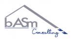 B.A.S.M CONSULTING